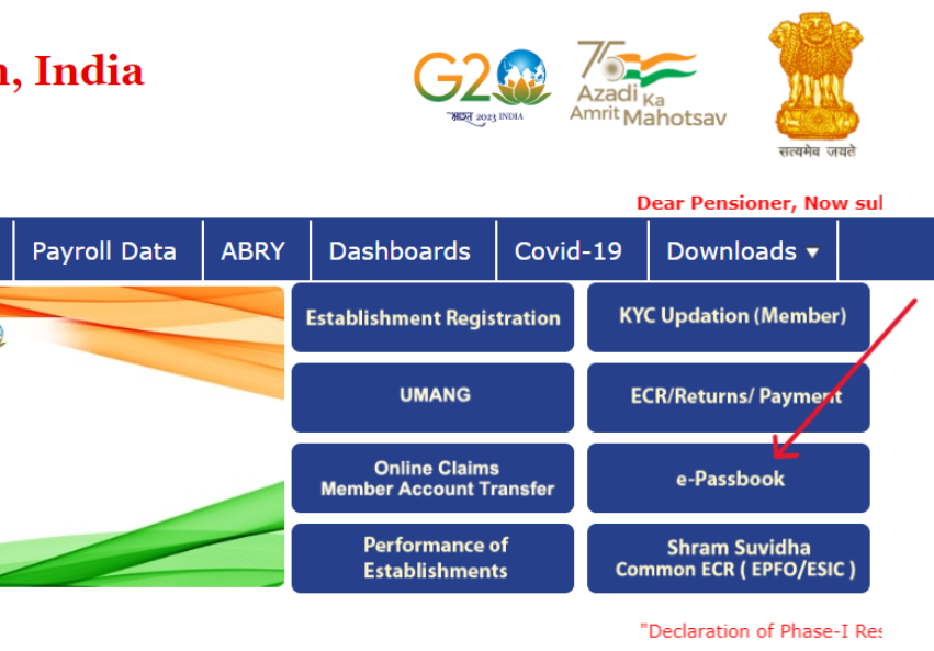 Udyogini Yojana E-passbook